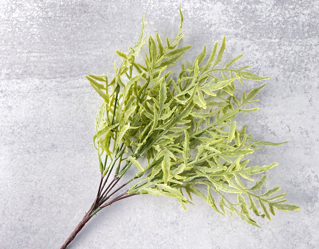 Sage-Toned Fern - Luv Sola Flowers - Faux Filler
