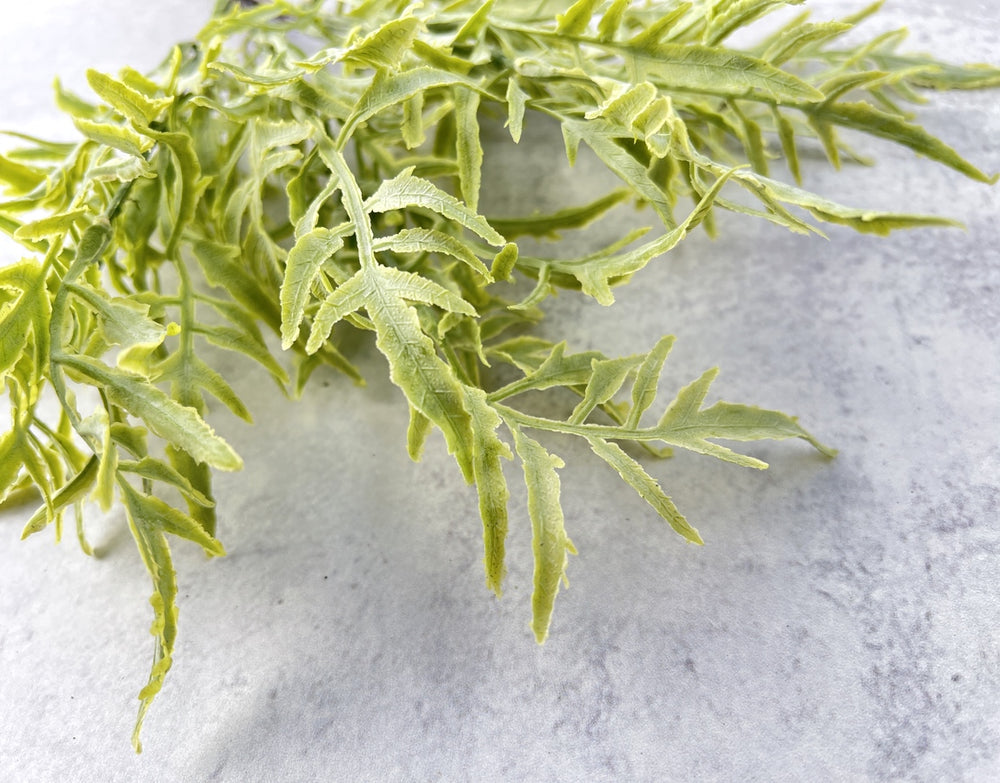 Sage-Toned Fern - Luv Sola Flowers - Faux Filler