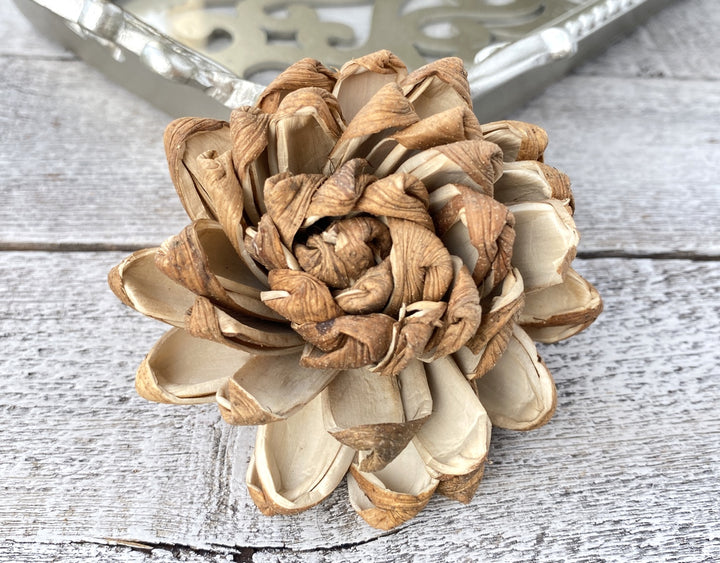 Sola Wood Flowers - Skin Supernova - Luv Sola Flowers