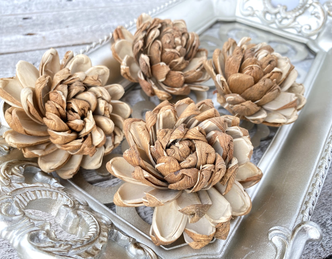 Sola Wood Flowers - Skin Supernova - Luv Sola Flowers