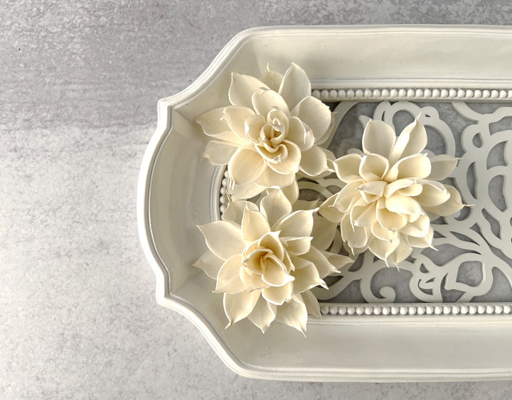 Sola Wood Flowers - Snow White - Luv Sola Flowers