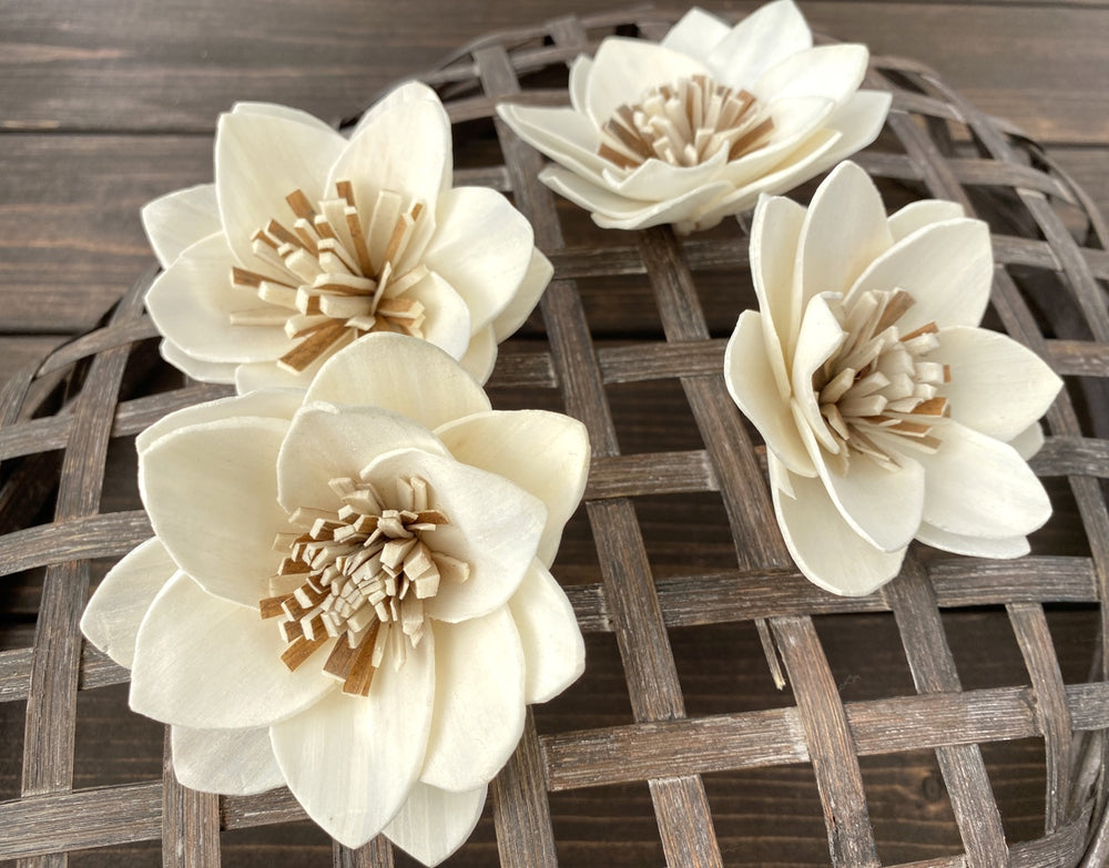 Sola Wood Flowers - Stardust