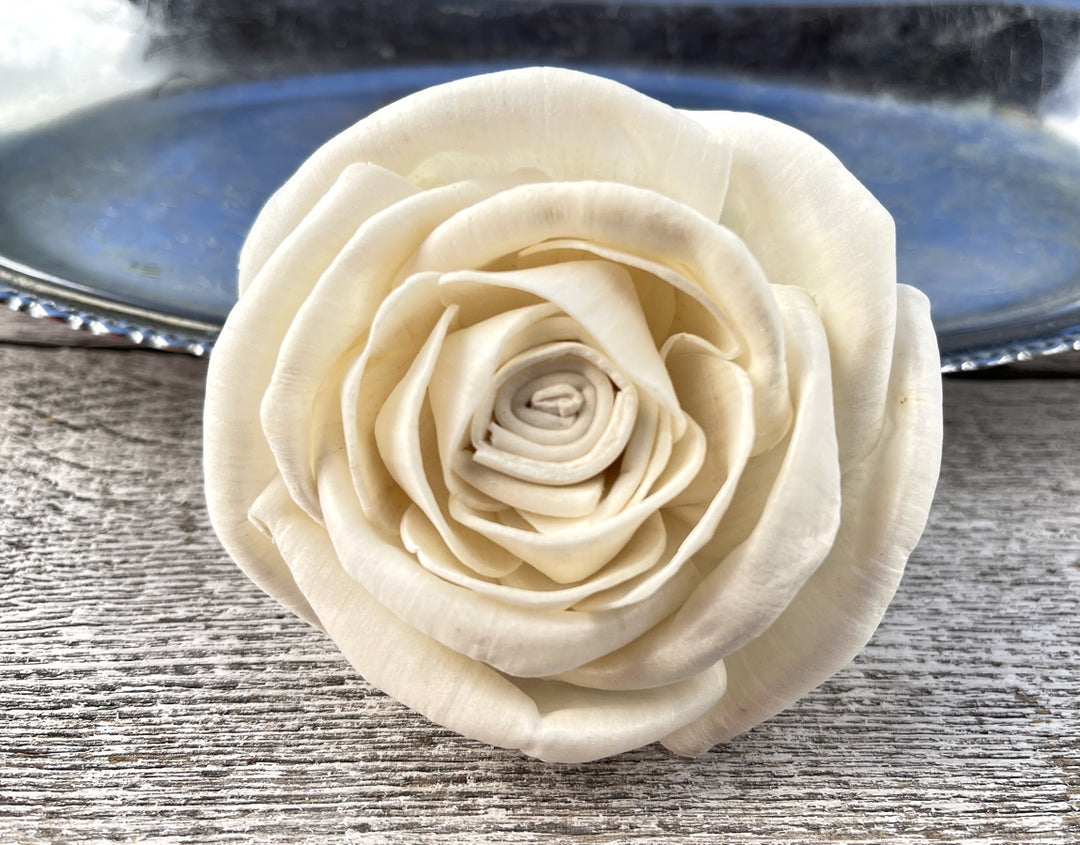 Sola Wood Flowers - Sunset Beauty - Luv Sola Flowers