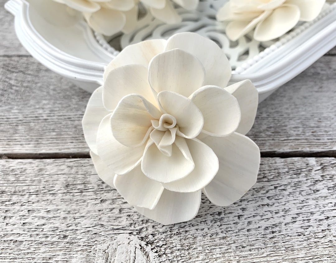Sola Wood Flowers - Sweet Juliet - Luv Sola Flowers