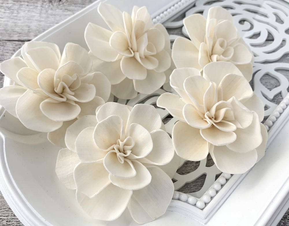 Sola Wood Flowers - Sweet Juliet - Luv Sola Flowers