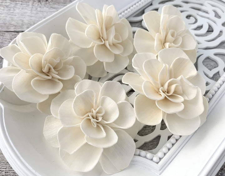 Sola Wood Flowers - Sweet Juliet - Luv Sola Flowers