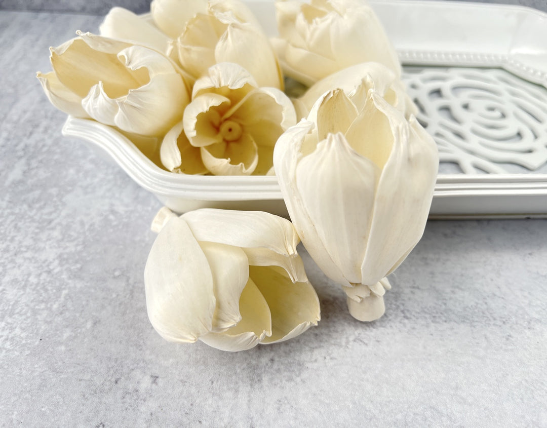 Sola Wood Flowers - Classic Tulip - Luv Sola Flowers