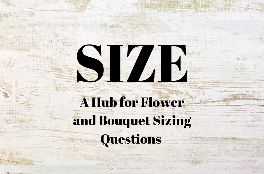 Sizing Hub
