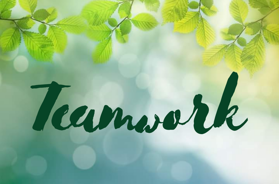 Teamwork