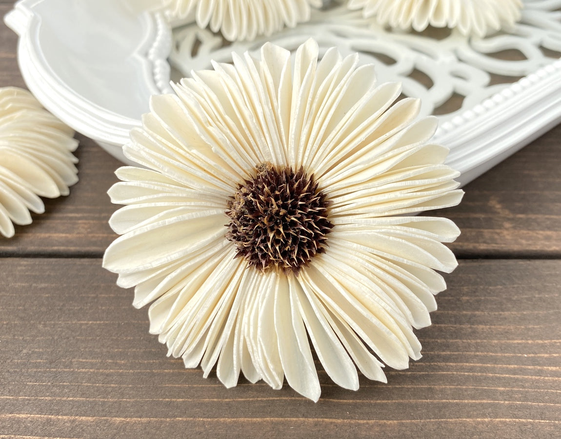 How to Dye Sola Wood Flowers Luv Sola Flowers