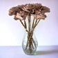 Stemmed Wood Flowers - Helena Dusty Rose - Luv Sola Flowers