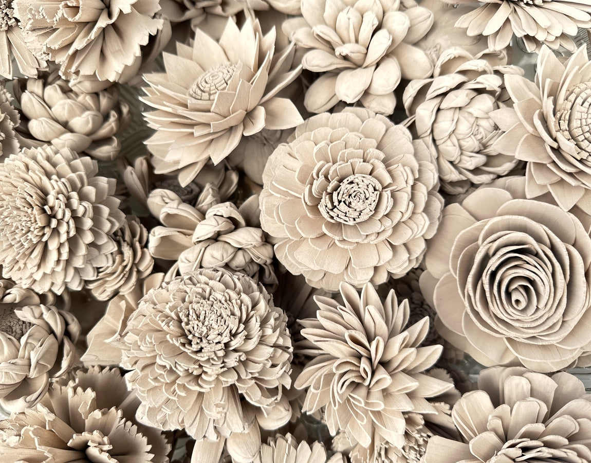 Sola Wood Flowers - Oat Dyed Flowers - Luv Sola Flowers
