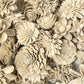 Sola Wood Flowers - Sandy Beach Dyed Flowers - Luv Sola Flowers
