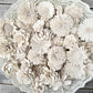 Sola Wood Flowers - Soft White Dyed Flowers - Luv Sola Flowers