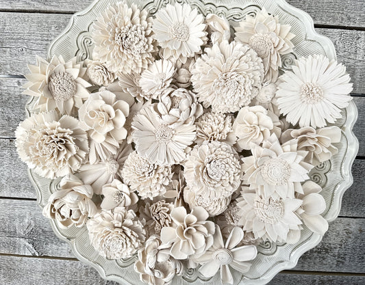 Sola Wood Flowers - Soft White Dyed Flowers - Luv Sola Flowers