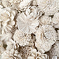 Sola Wood Flowers - Soft White Dyed Flowers - Luv Sola Flowers