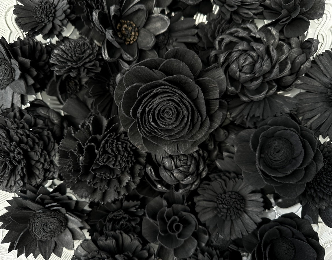 Sola Wood Flowers - Black Dyed Sola Flowers – Luv Sola Flowers