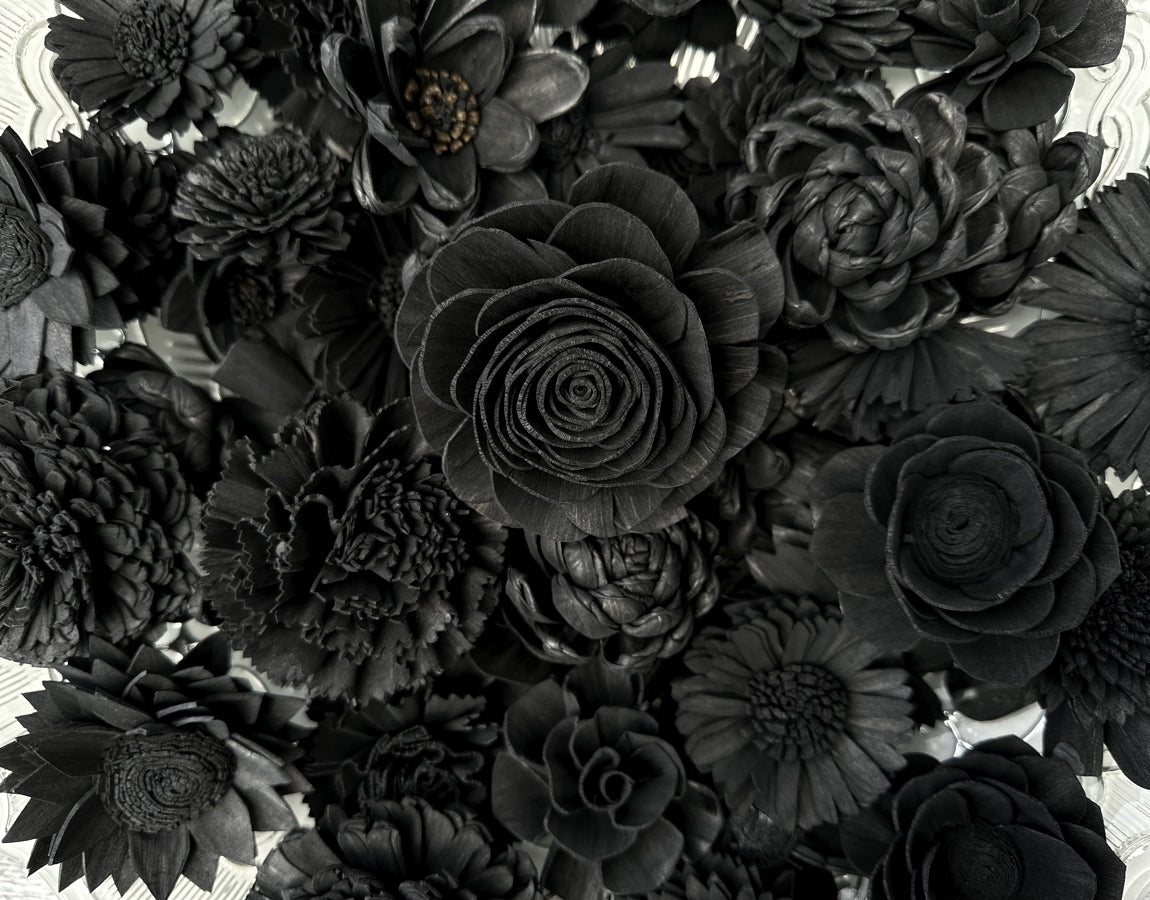 Black Dyed Sola Flowers - Pack of 12