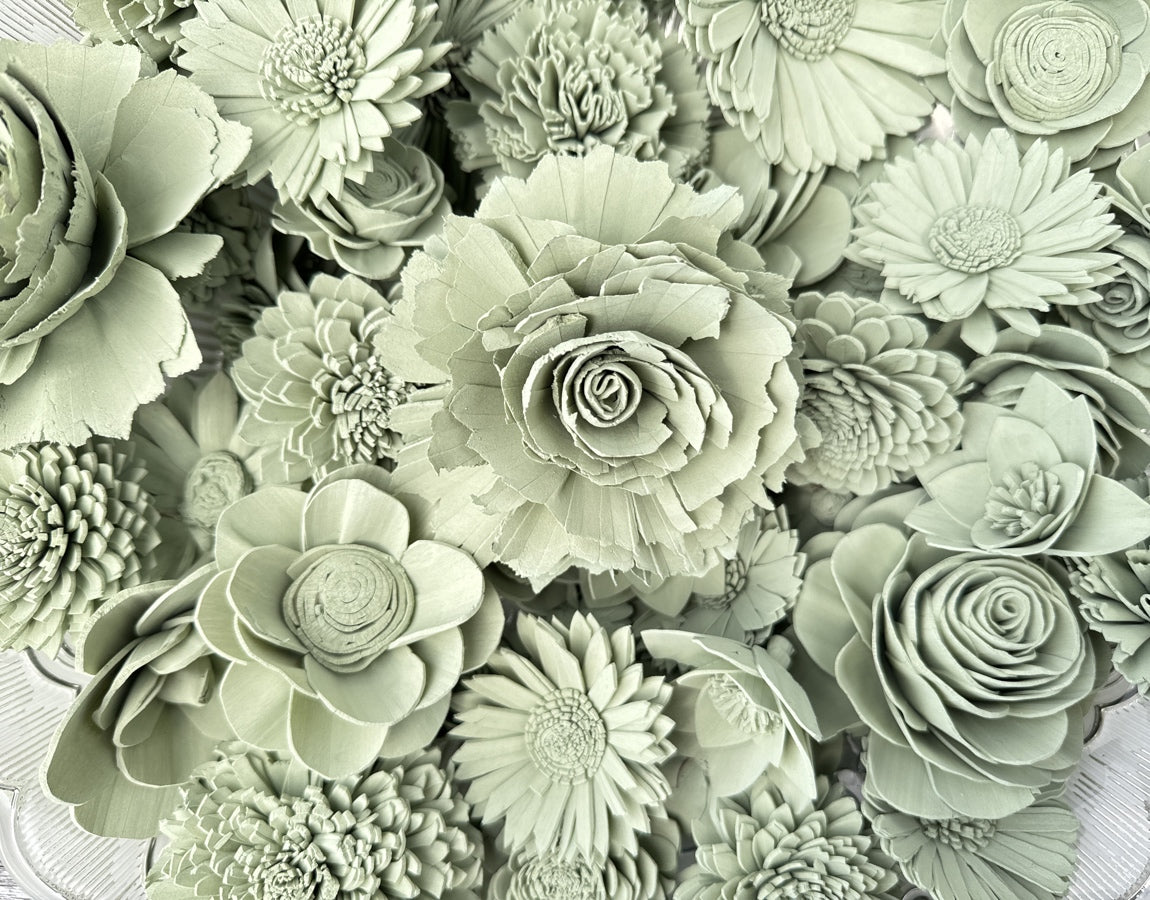 Sola Wood Flowers - Sage Dyed Flowers - Luv Sola Flowers