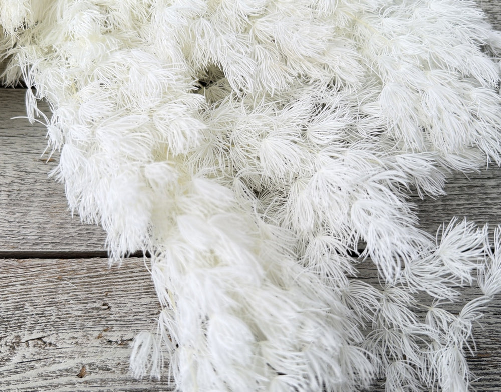 Bleached preserved asparagus fern with soft feathery airy foliage on full stems