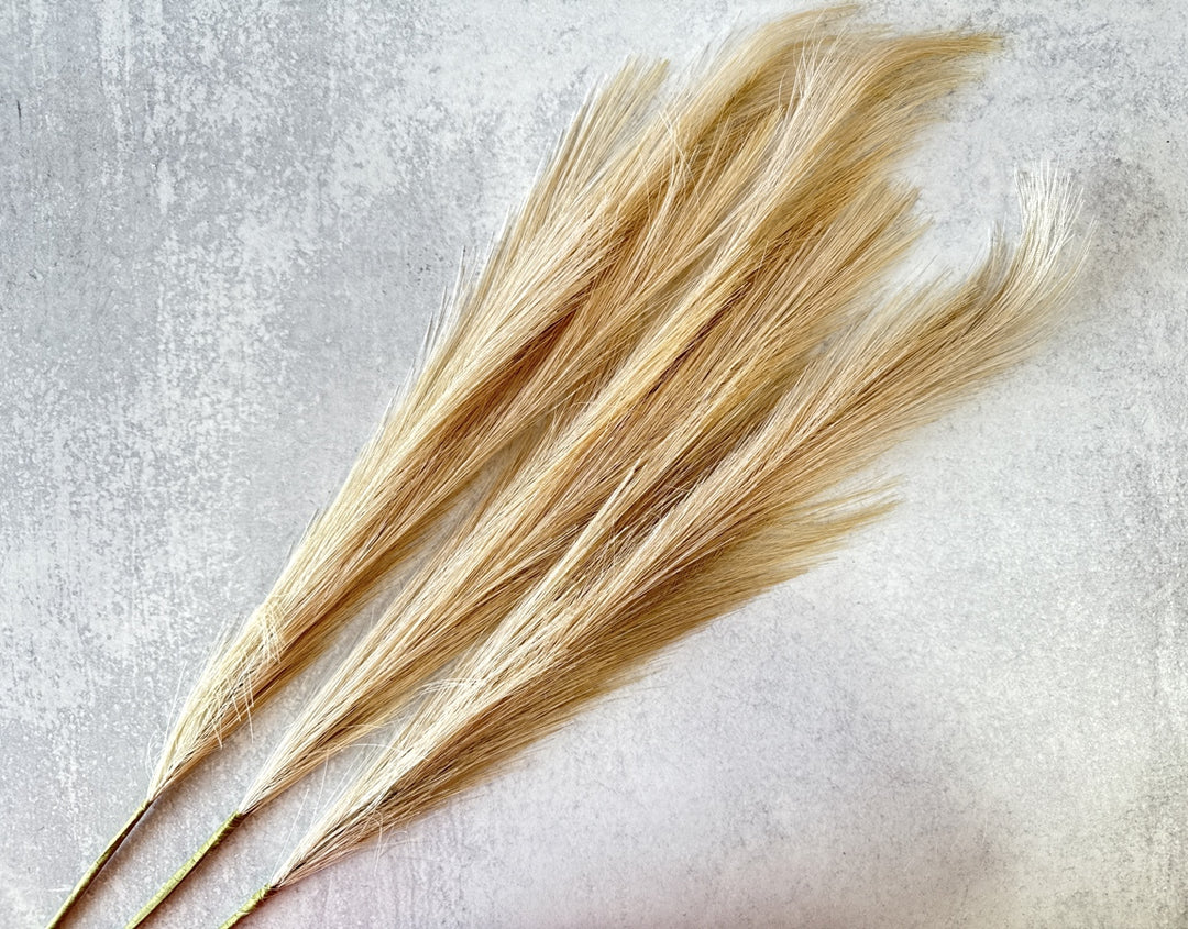 Beige Faux Pampas Grass - Luv Sola Flowers - Faux Filler