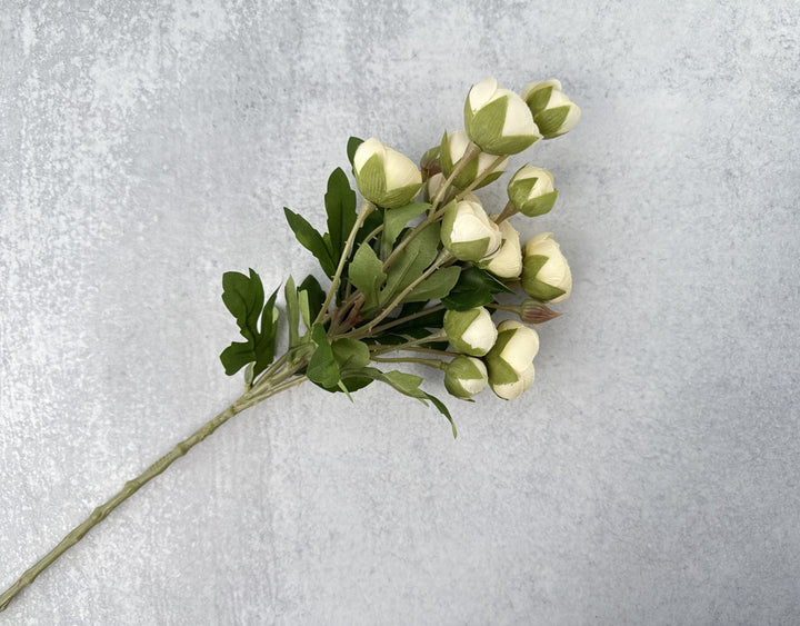 Faux Mini Ranunculus - Cream - Luv Sola Flowers - Faux Filler