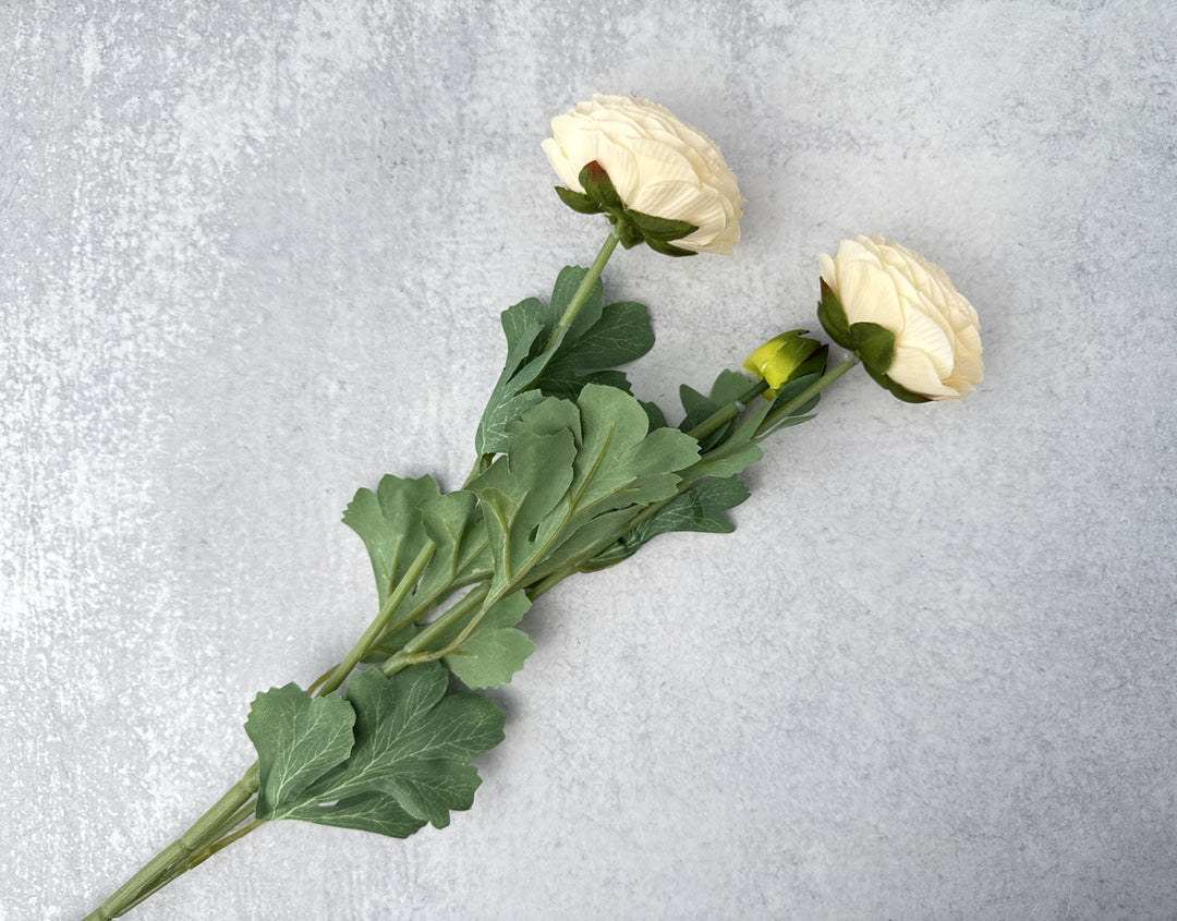 Faux Ranunculus - Cream - Luv Sola Flowers - Faux Filler