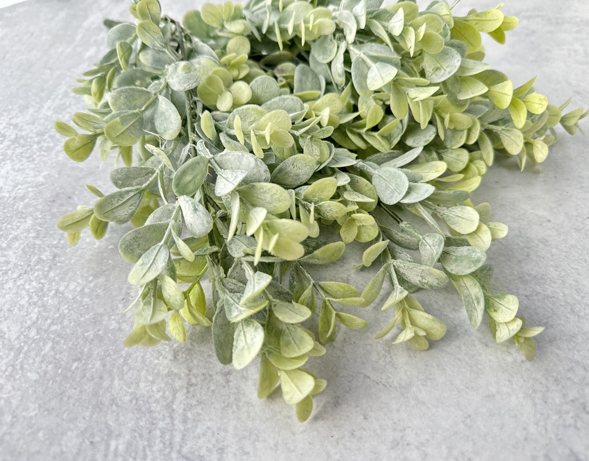 Frosted Boxwood Bush - Luv Sola Flowers - Faux Filler