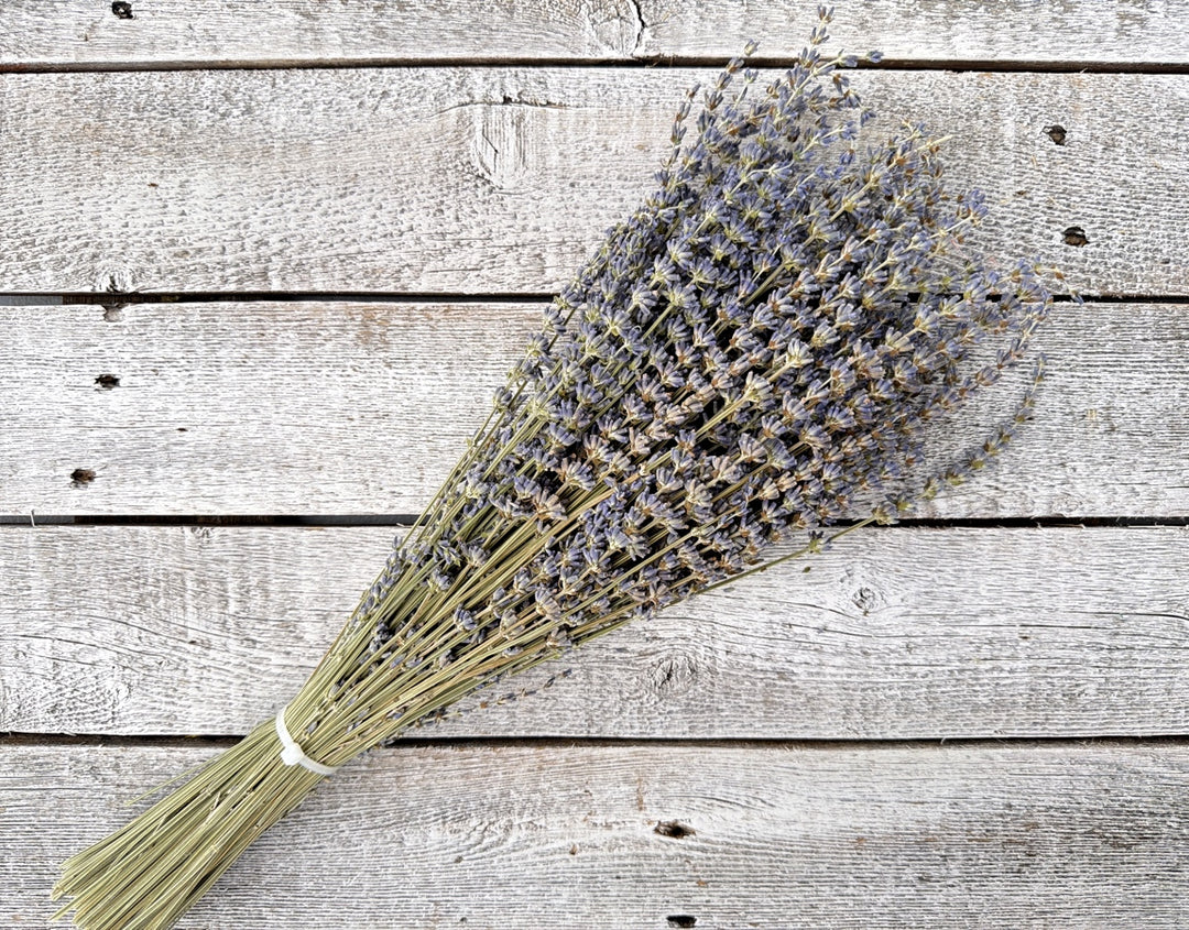 Dried lavender stems with fragrant buds for bouquets and floral arrangements