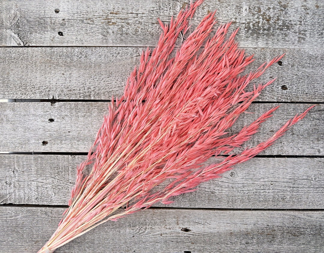 Pink dried oat stems with natural seed heads for delicate textural bouquet filler