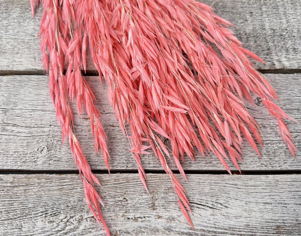 Pink dried oat stems with natural seed heads for delicate textural bouquet filler