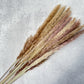 Pampas Grass - Luv Sola Flowers - Filler