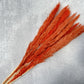 Pampas Grass - Luv Sola Flowers - Filler