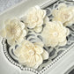 Sola Wood Flowers - Posh - Luv Sola Flowers
