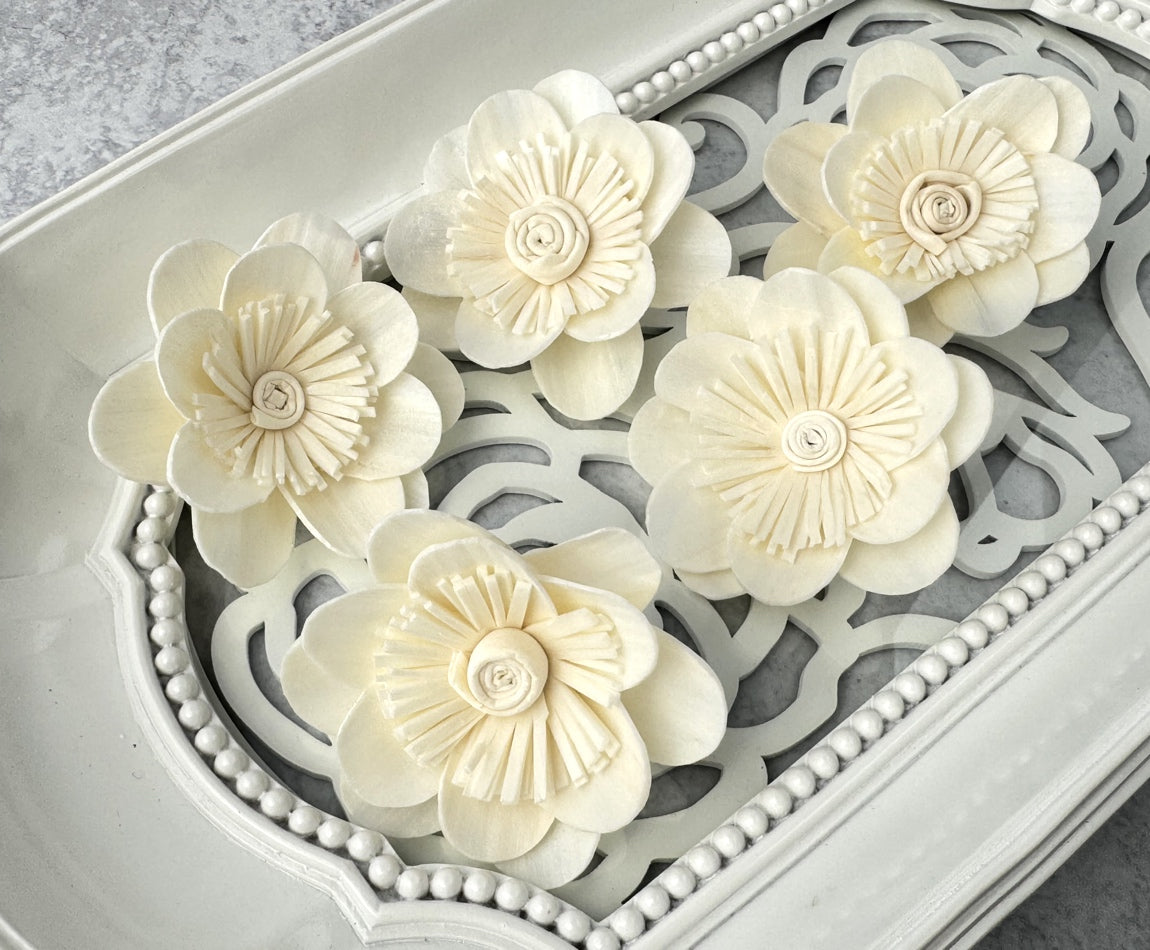 Sola Wood Flowers - Posh - Luv Sola Flowers