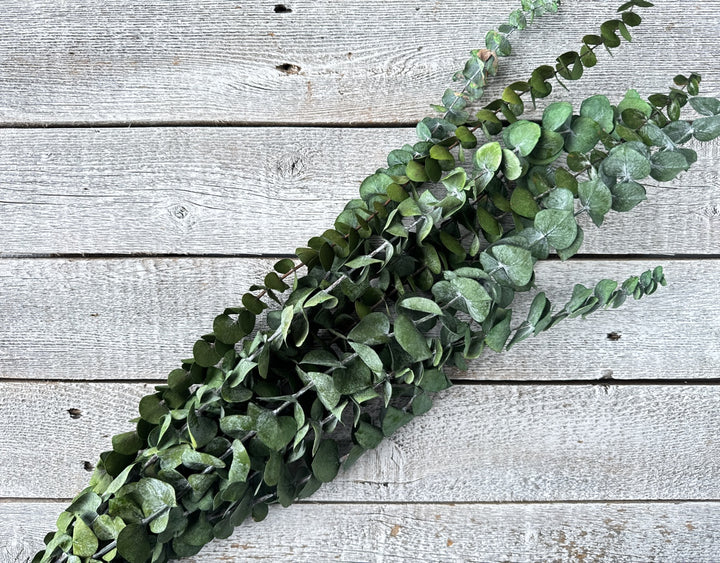 Preserved Spiral Eucalyptus - Luv Sola Flowers - Filler