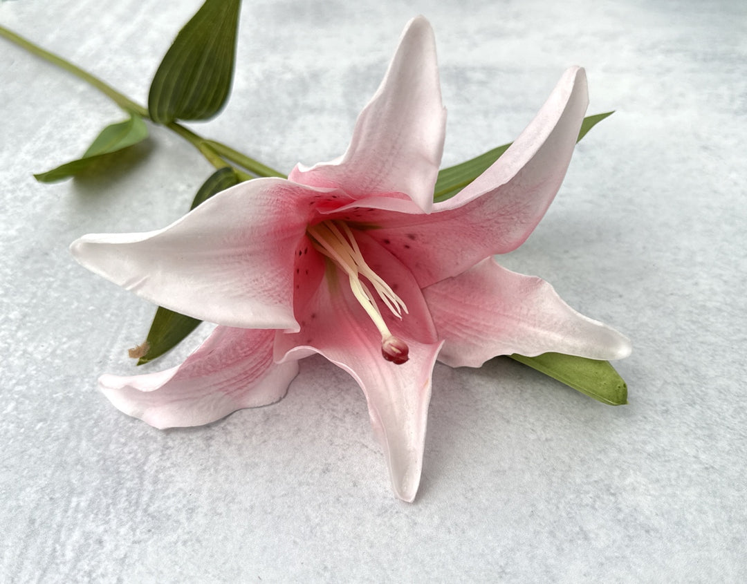 Real Touch Asiatic Lily - Blush - Luv Sola Flowers - Faux Filler