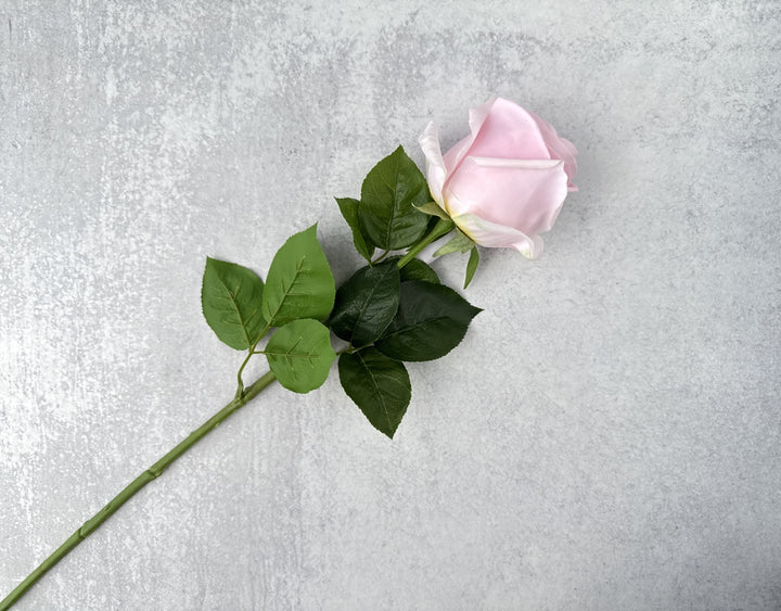 Real Touch Classic Rose - Blush - Luv Sola Flowers - Faux Filler
