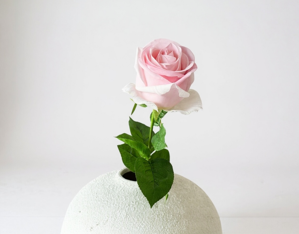Real Touch Classic Rose - Blush - Luv Sola Flowers - Faux Filler