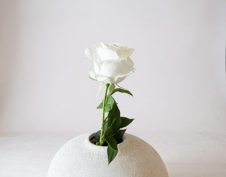 Real Touch Classic Rose - White - Luv Sola Flowers - Faux Filler