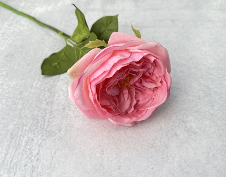 Real Touch English Rose - Blush - Luv Sola Flowers - Faux Filler