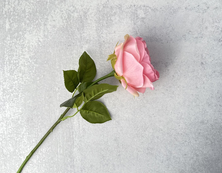 Real Touch English Rose - Blush - Luv Sola Flowers - Faux Filler