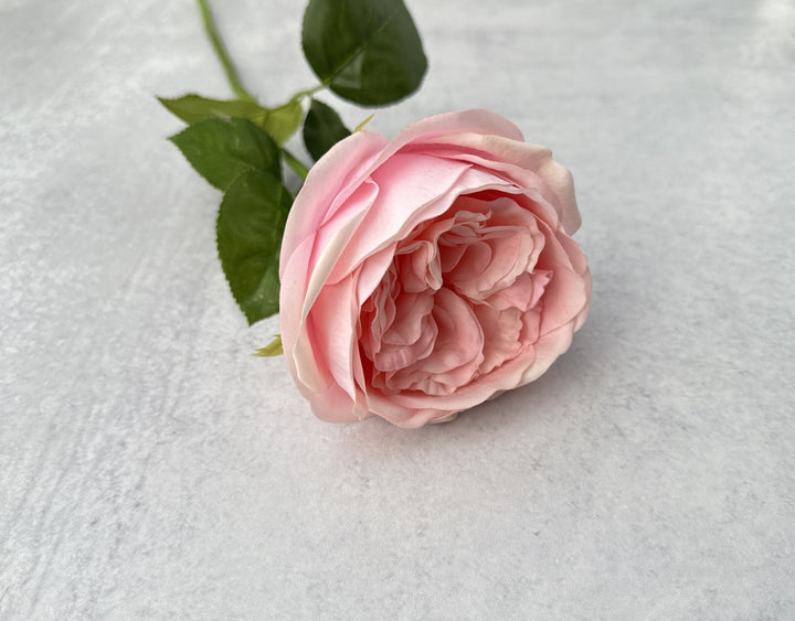Real Touch English Rose - Soft Pink - Luv Sola Flowers - Faux Filler