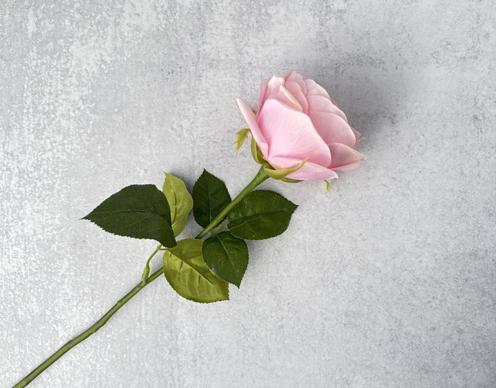 Real Touch English Rose - Soft Pink - Luv Sola Flowers - Faux Filler