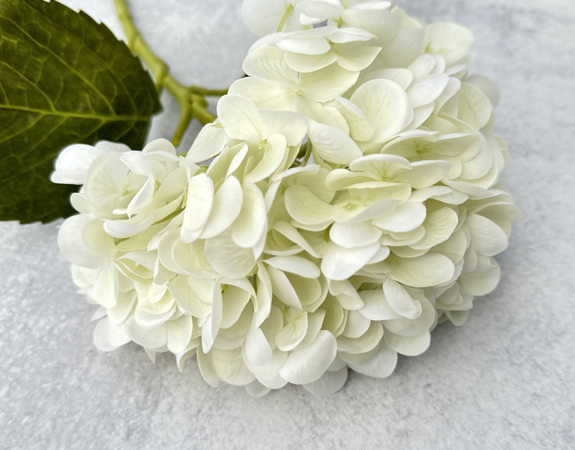 Real Touch Hydrangea - Luv Sola Flowers - Faux Filler