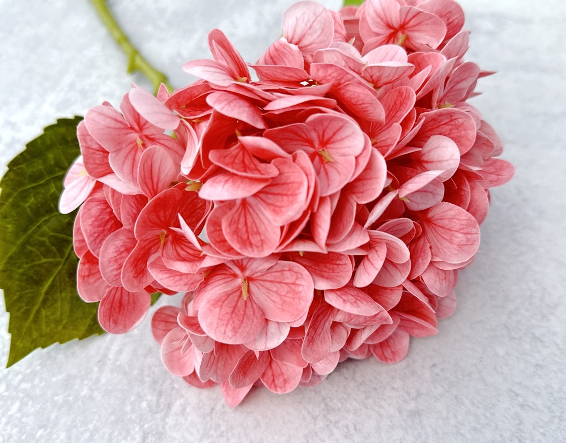 Real Touch Hydrangea - Luv Sola Flowers - Faux Filler