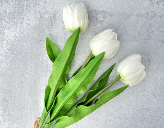 Real Touch Tulip - Luv Sola Flowers - Faux Filler