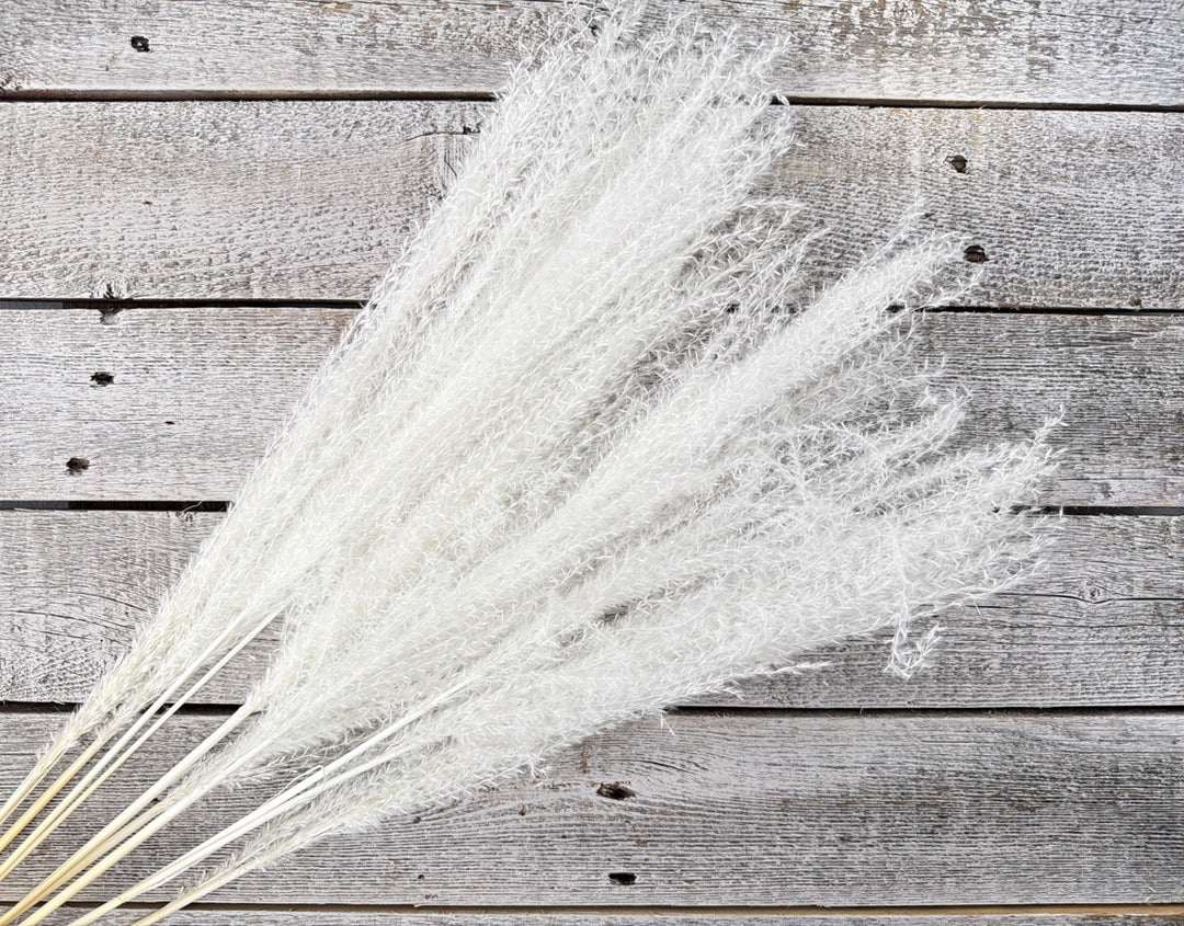 Bleached preserved reed grass with fine airy stems for height and movement in arrangements