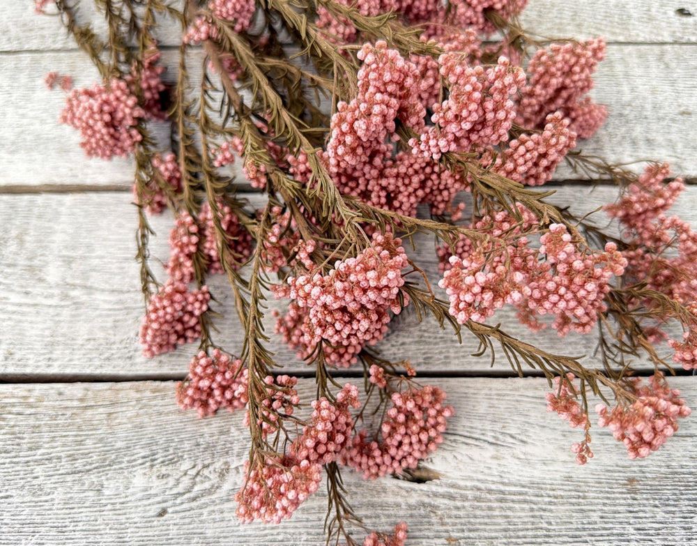 Pink preserved rice flower clusters on delicate branching stems for bouquet filler