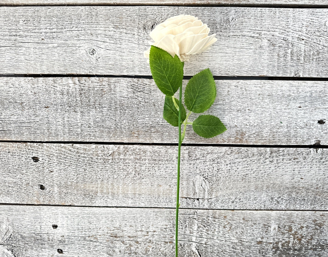 Sola Wood Flowers - Single Stem Rose Raw - Luv Sola Flowers